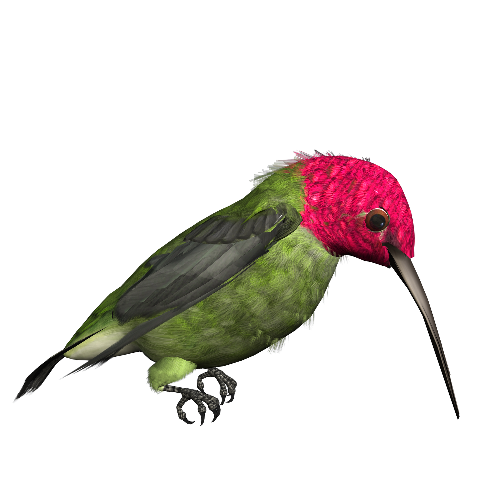 bird clip art png - photo #27