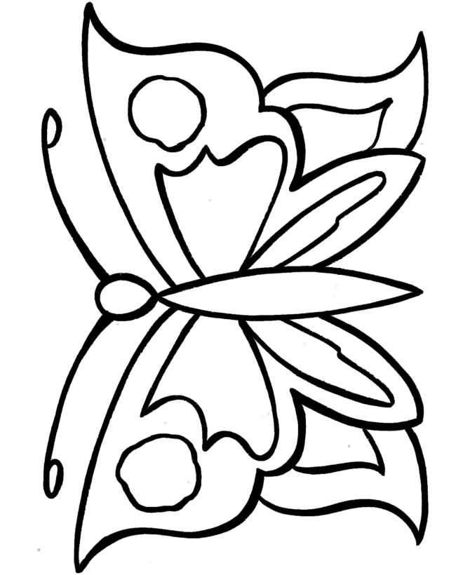 Butterfly Coloring Pages | ColoringMates.