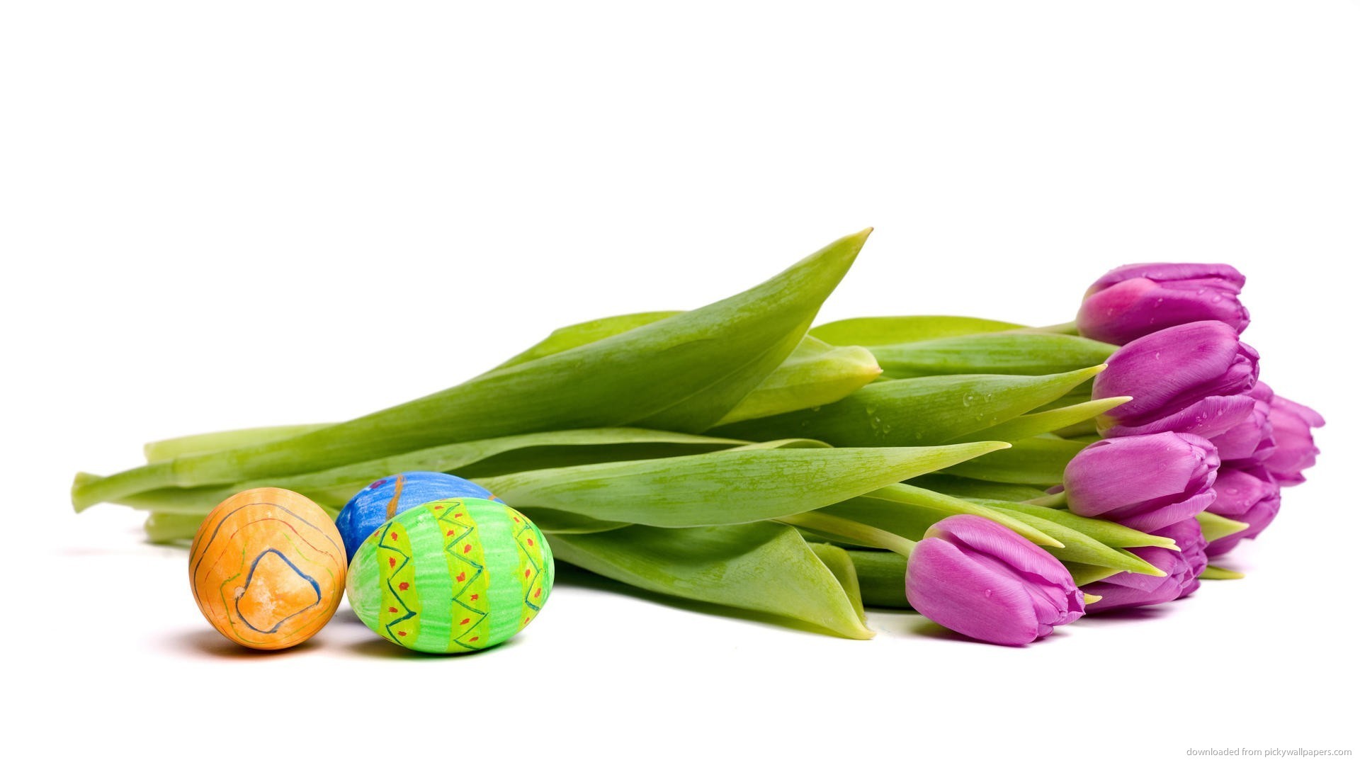 Download 1920x1080 Three Easter Eggs And Some Tulips Wallpaper