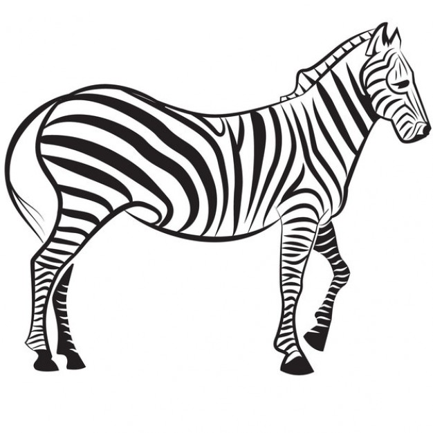 zebra stripes clipart - photo #26