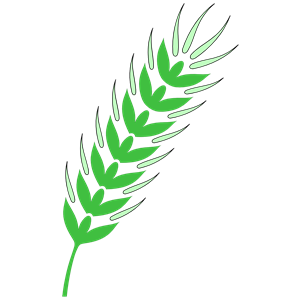 Wheat Clipart | Free Download Clip Art | Free Clip Art | on ...