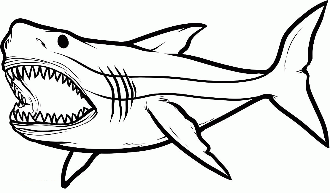 Free Printable Shark Coloring Pages - AZ Coloring Pages - ClipArt Best