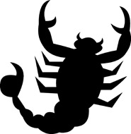 Search Results - Search Results for Scorpion Pictures - Graphics ...