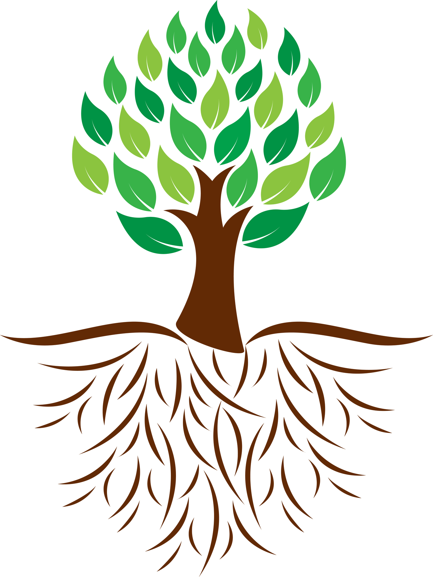 Free tree with roots clipart black and white and lables