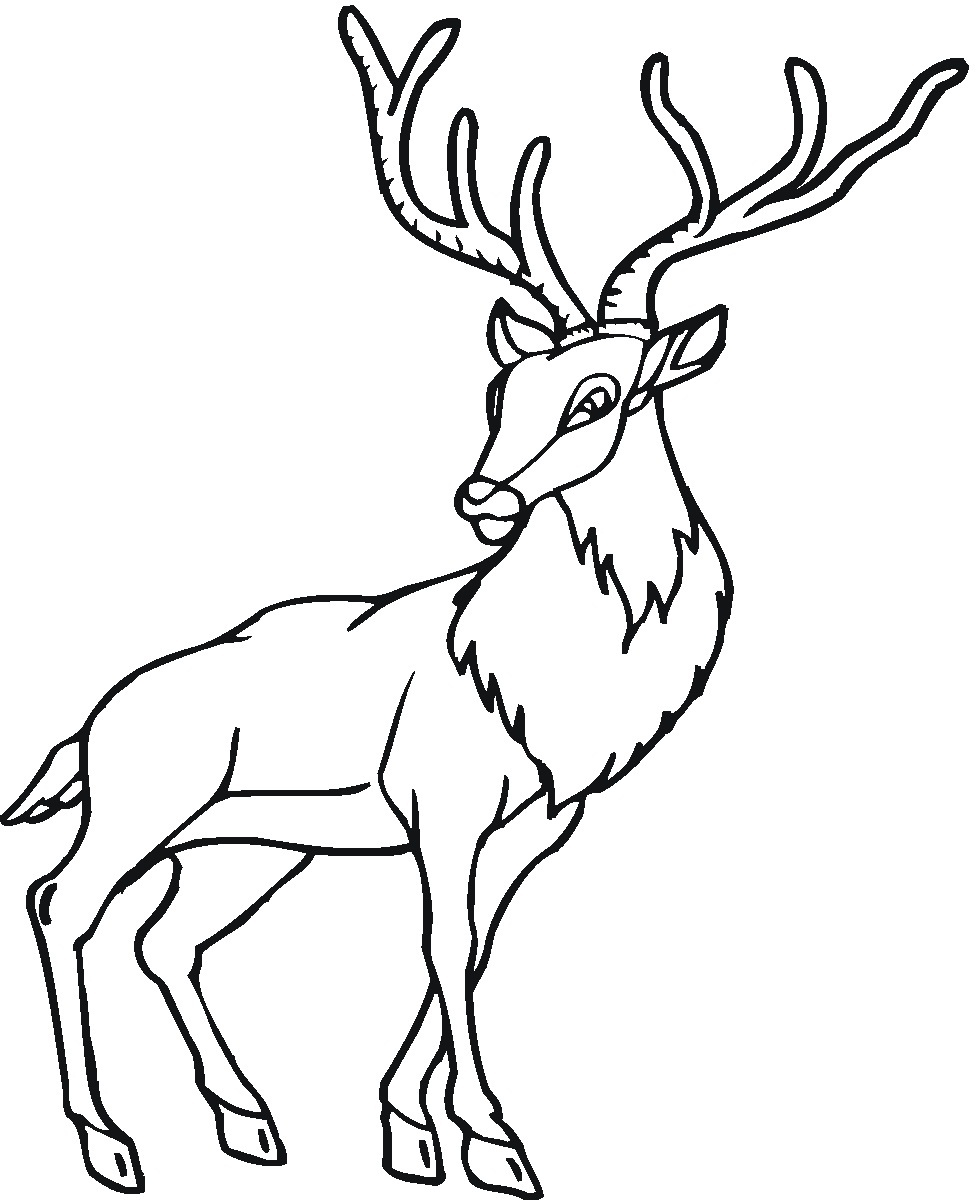 Printable Deer Coloring Pages | Coloring Me