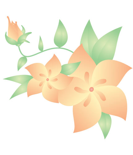 450 views Peach Colored Rose Clipart