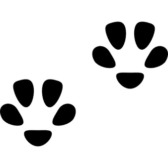 Cat Footprint Vectors, Photos and PSD files | Free Download