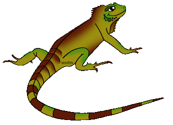 Lizard Clipart