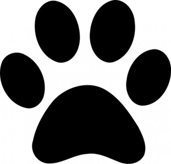 Bear paw print clipart png