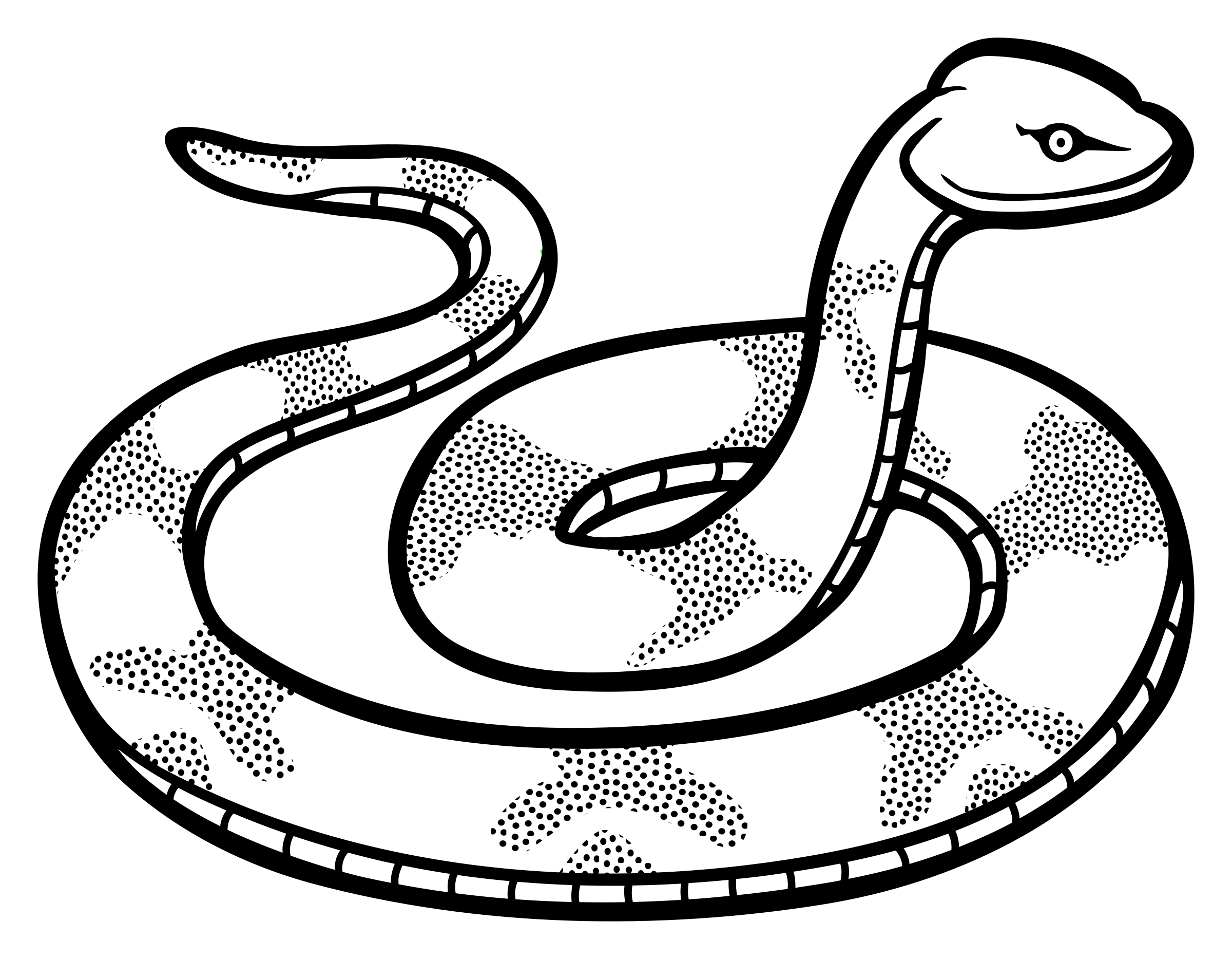 Clipart - snake - lineart