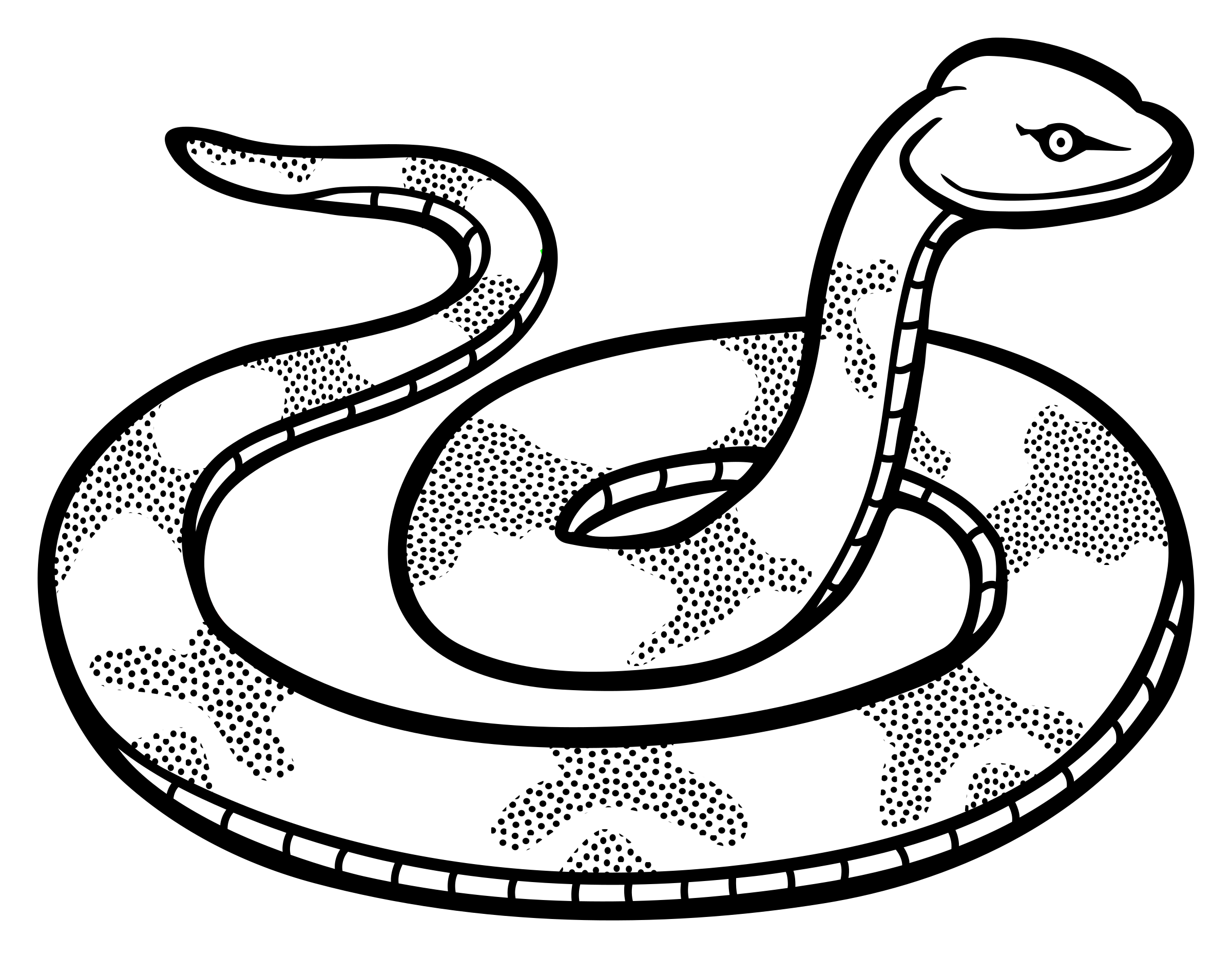 Snake Outline - ClipArt Best