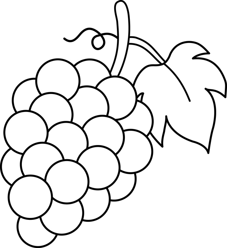 Grapes outline clipart