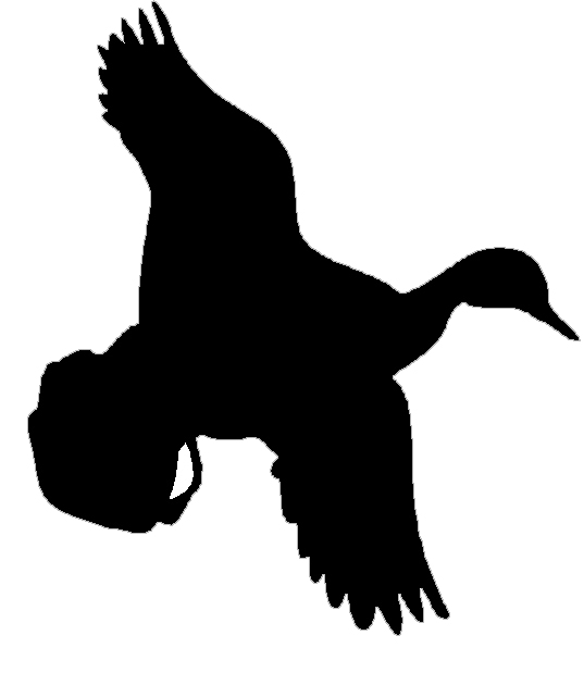 Duck silhouette clip art