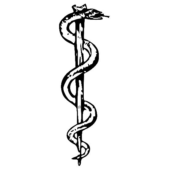 Only 6% of doctors knew the real symbol of medicine, “Staff of ...