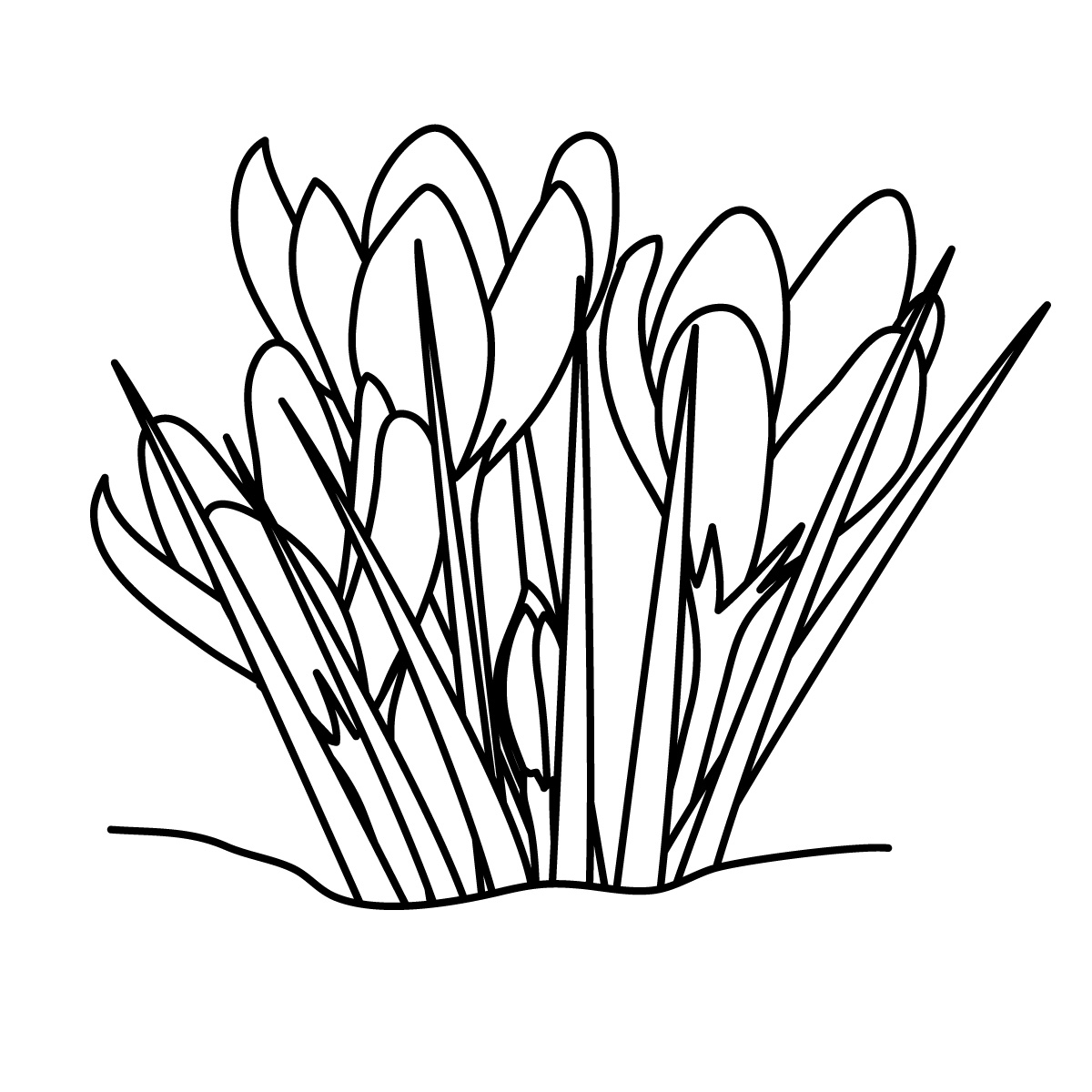 Free black and white spring clipart
