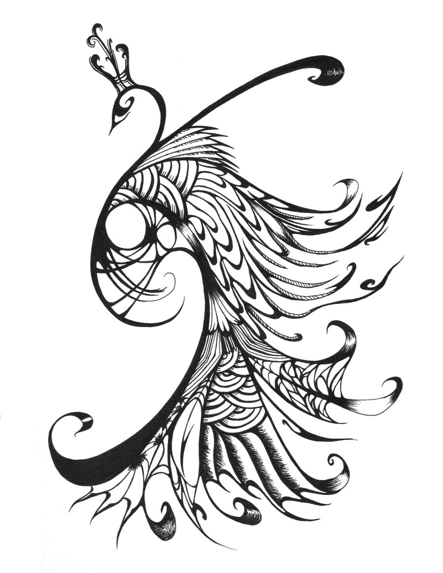 free black and white peacock clipart - photo #16