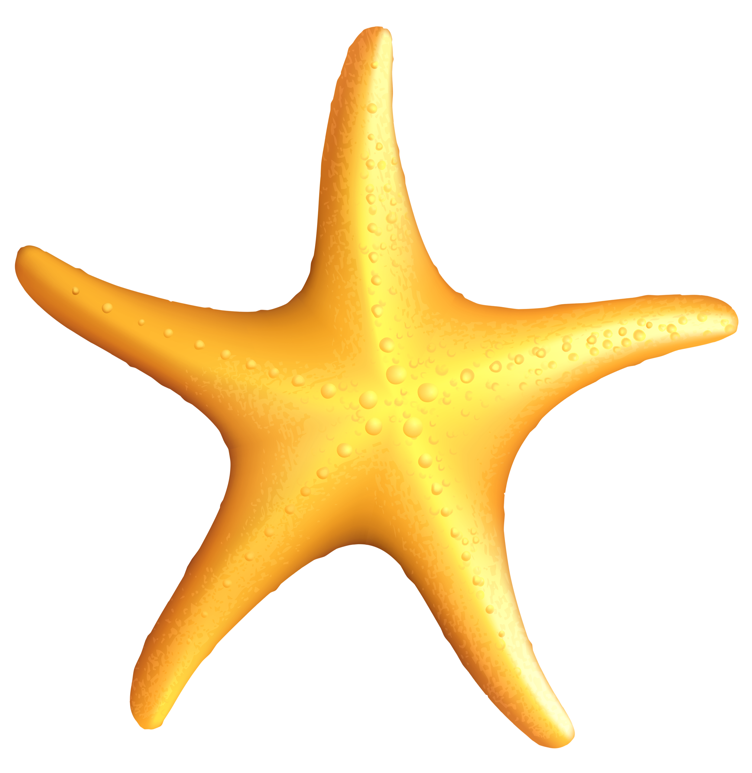 Starfish Clip Art - Tumundografico