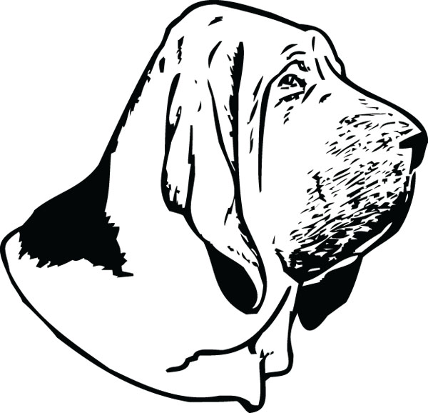 Bloodhound Dog Head Pet Clip Art For Custom Engraved Gifts