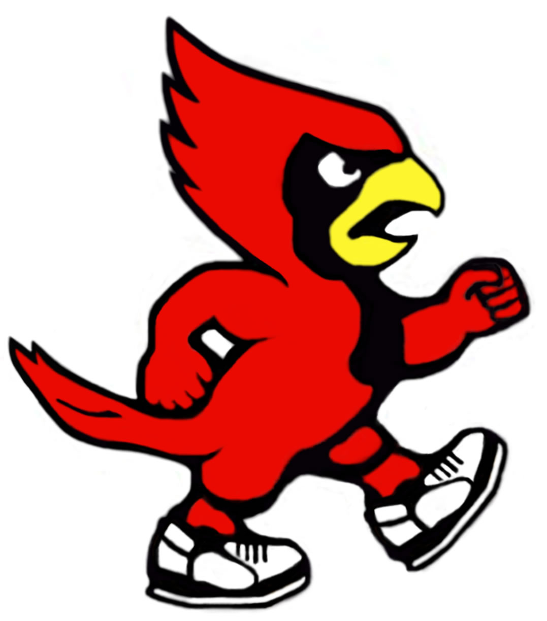 Cardinal Baseball Mascot Clip Art – Clipart Free Download