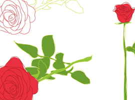 Free Rose Vector Graphics
