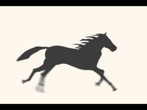 Running Horse Animation - YouTube