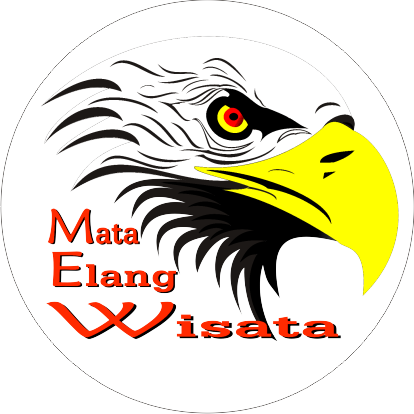 Logo Gambar Elang - ClipArt Best