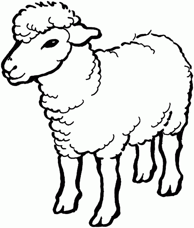 Sheep Drawing | Free Download Clip Art | Free Clip Art | on ...