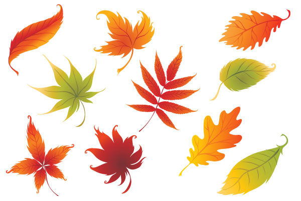 Nine Colorful Leaves | Vector Free | Free Vector Graphics Designs