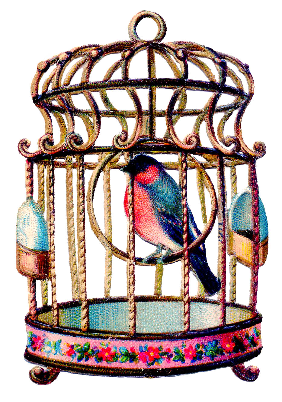 Vintage Clip Art - Delightful Colorful Bird in Cage - The Graphics ...