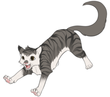 deviantART: More Like Siamese Kitten by =