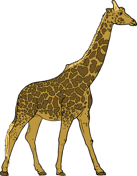 Giraffe Cartoon Drawings