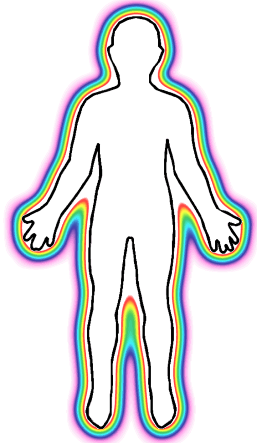 free human body clipart for teachers - photo #32