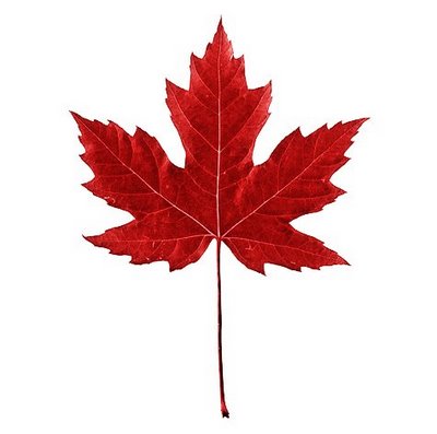 Red Maple Leaf Wallpaper Size After The Rain - ClipArt Best - ClipArt Best