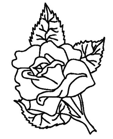 Outline Of A Rose Flower - ClipArt Best