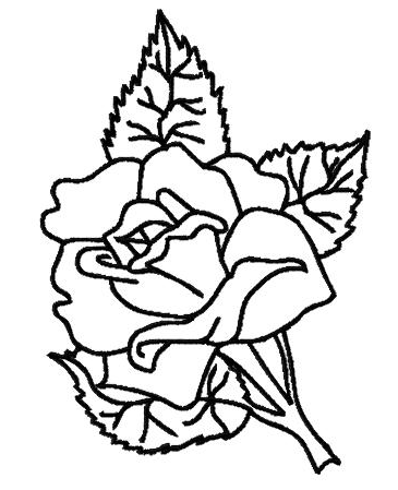 592 views Outline Of A Rose Flower - ClipArt Best