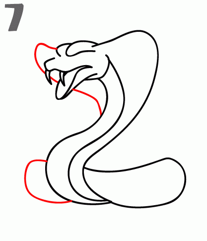 How To Draw a Cobra - Step-by-Step