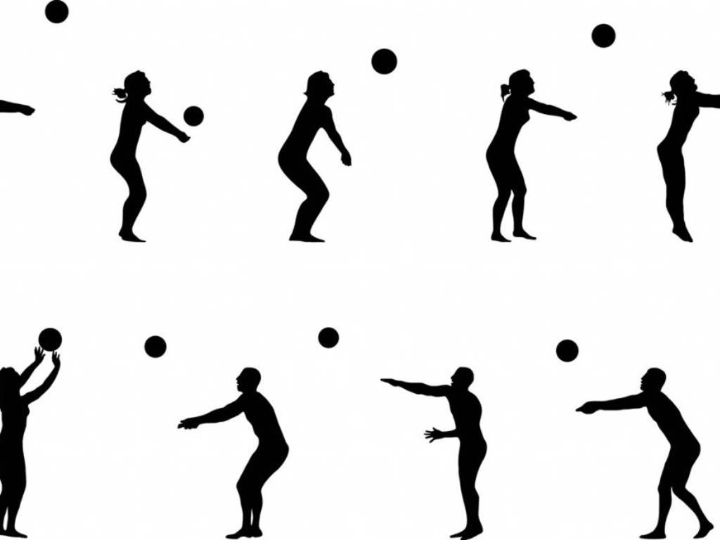 volleyball dig clipart - photo #19