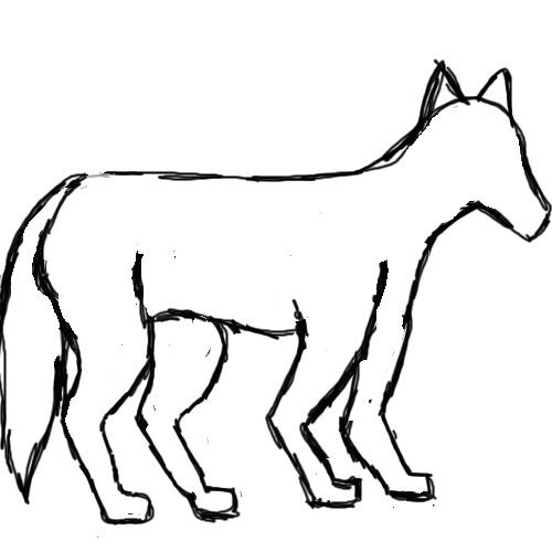 Wolf Outline Practice
