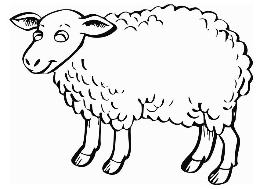 Sheep Crafts For Kids