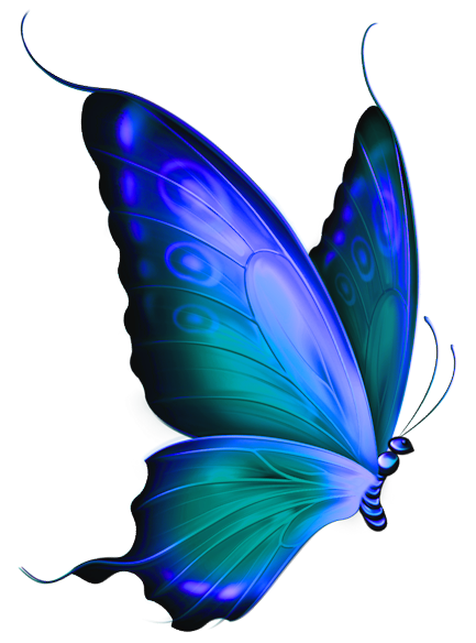 butterfly clipart - photo #33