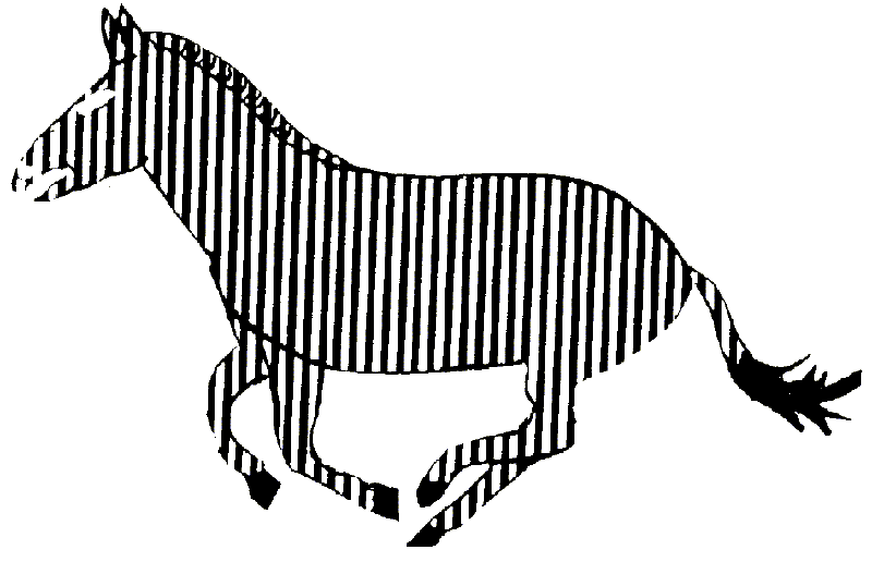 Draw Zebra - ClipArt Best
