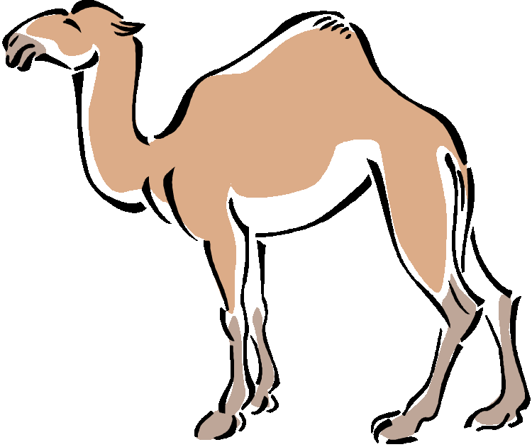 Camel clip art at vector free 2 image - Cliparting.com