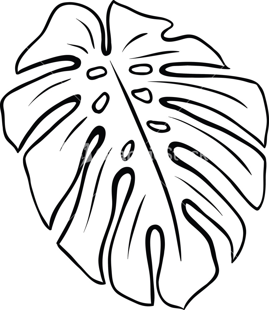 Vector Tropical Plant - ClipArt Best - ClipArt Best