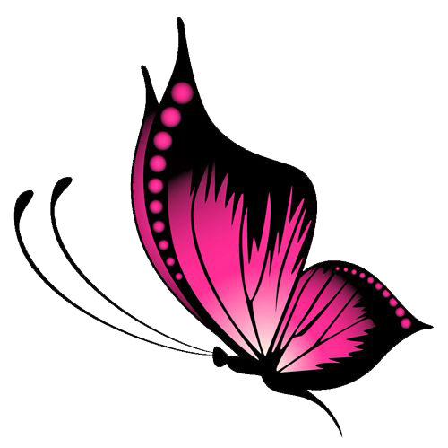 Butterfly PNG Images Transparent Free Download | PNGMart.com