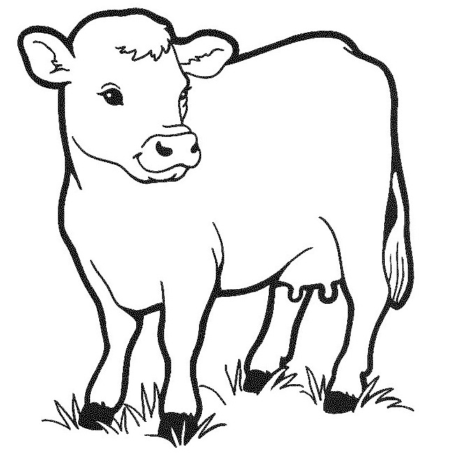 Cow Template - Animal Templates | Free & Premium Templates