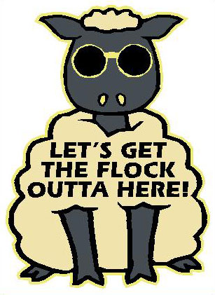 Sticker - Let's Get the Flock Outta Here [SH33] - Â£2.50 ...