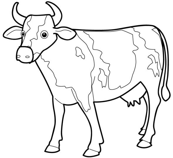 cow-coloring-pages-2.jpg - ClipArt Best - ClipArt Best