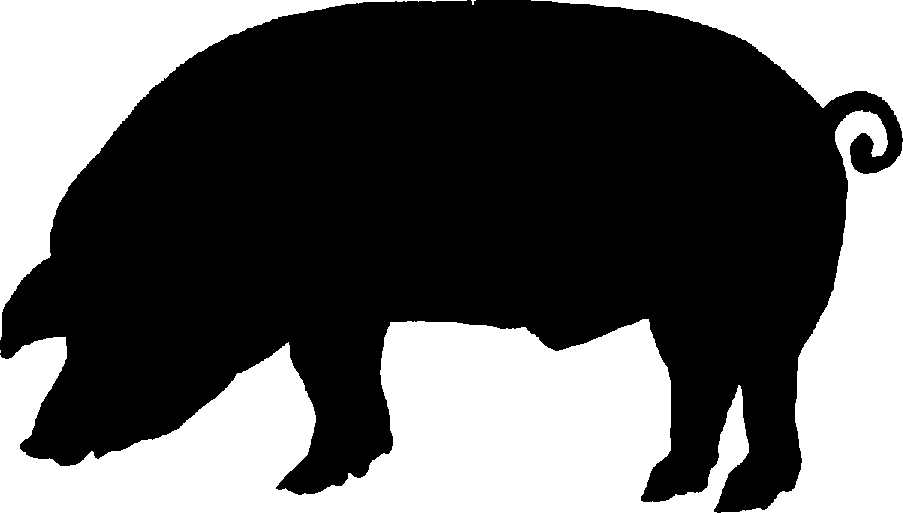 clipart pig black and white - photo #20