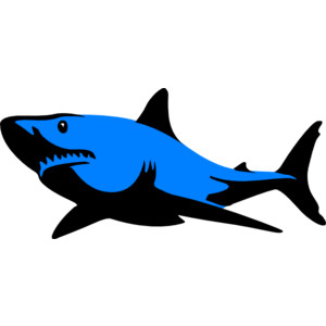 Blue.shark clip art - Polyvore
