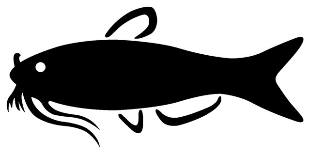 Cartoon catfish clipart